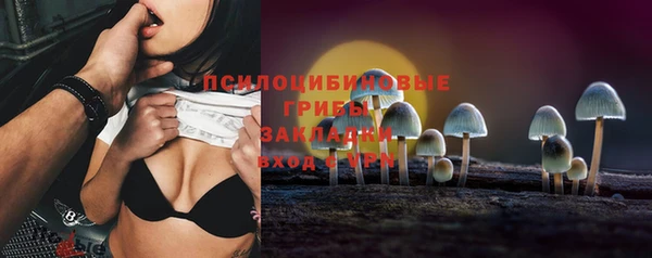 PSILOCYBIN Балабаново