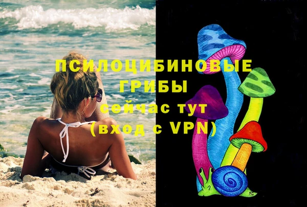 spice Белокуриха