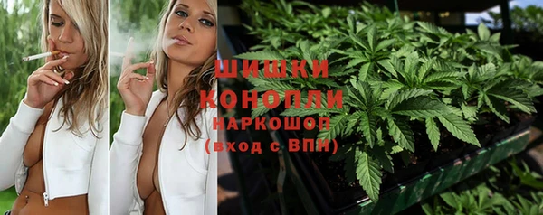 PSILOCYBIN Балабаново